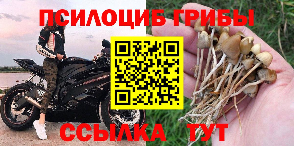 Галлюциногенные грибы прущие грибы Гудермес