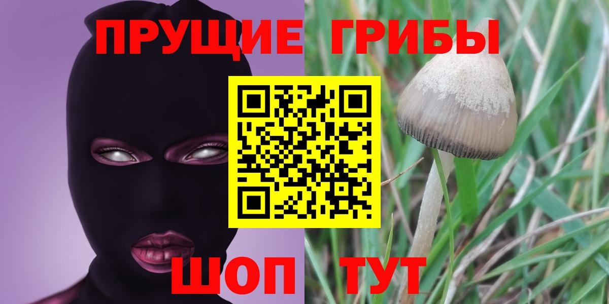 Гудермес  Галлюциногенные грибы Cubensis  Вход с VPN 